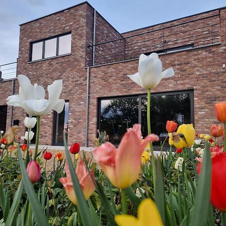 Sous La Houlette, Suites, Piscine Interieure Et Sauna Villers-la-Ville 외부 사진